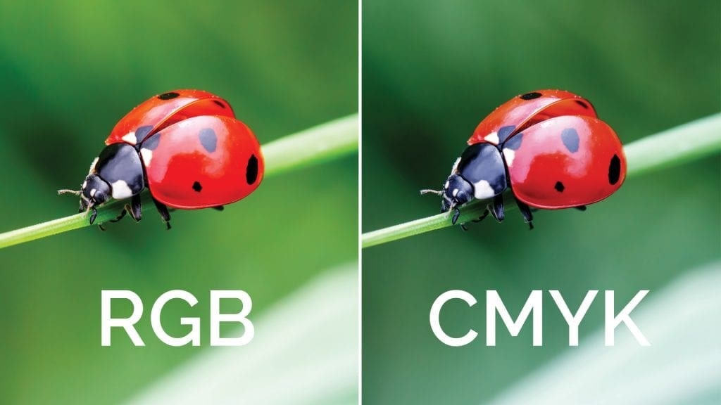 تفاوت کد رنگی CMYK با RGB